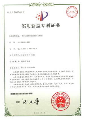 專利證書(shū)一